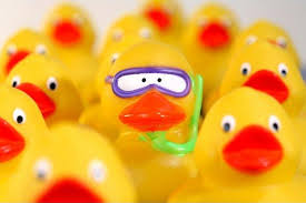 Rubber Ducks